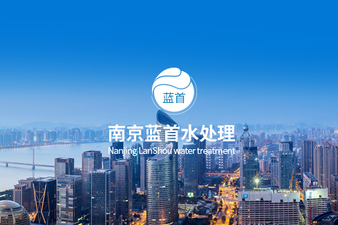 桐城建站-南京蓝首水处理设备有限公司