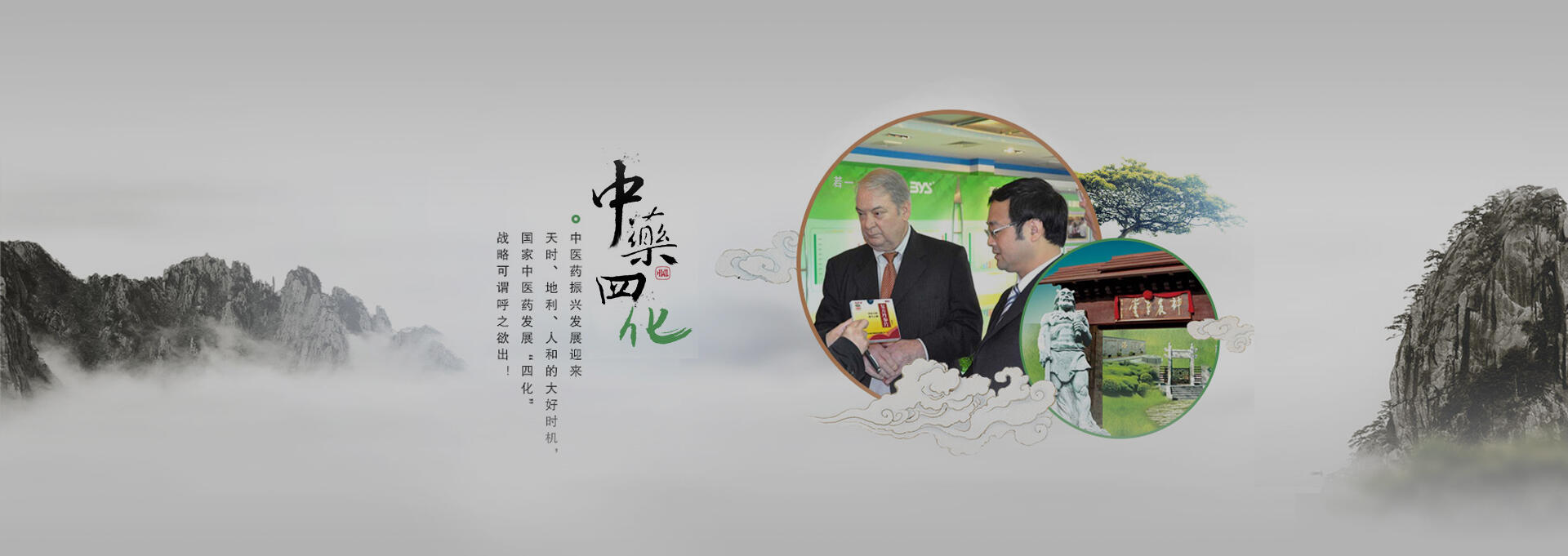 安庆建站-若一医药科技