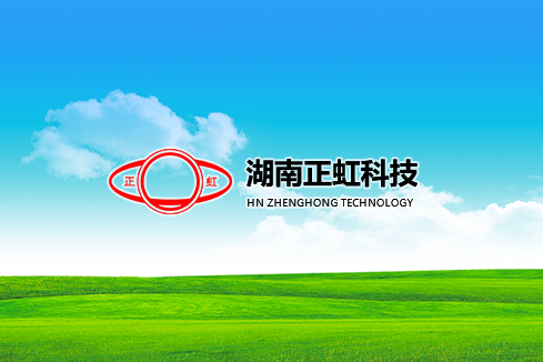 桐城建站-湖南正虹科技