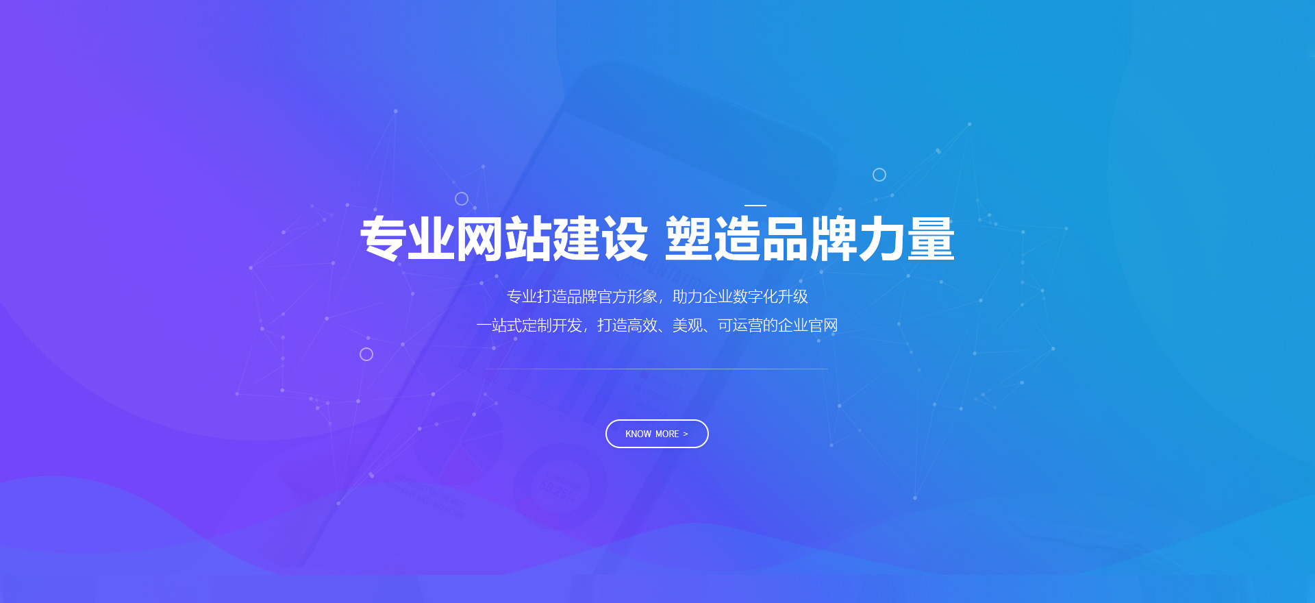 大观建站-专业网站建设 塑造品牌力量