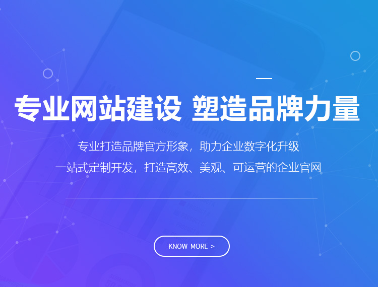 大观建站-专业网站建设 塑造品牌力量